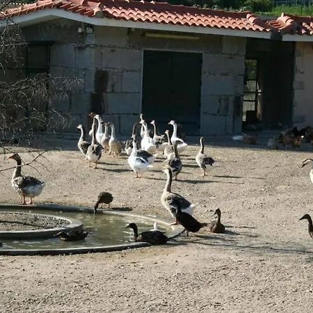 Lantställe Vale De -
